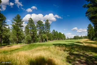 $600,000 | 1640 South Spruce Lane, Show Low, AZ 85901