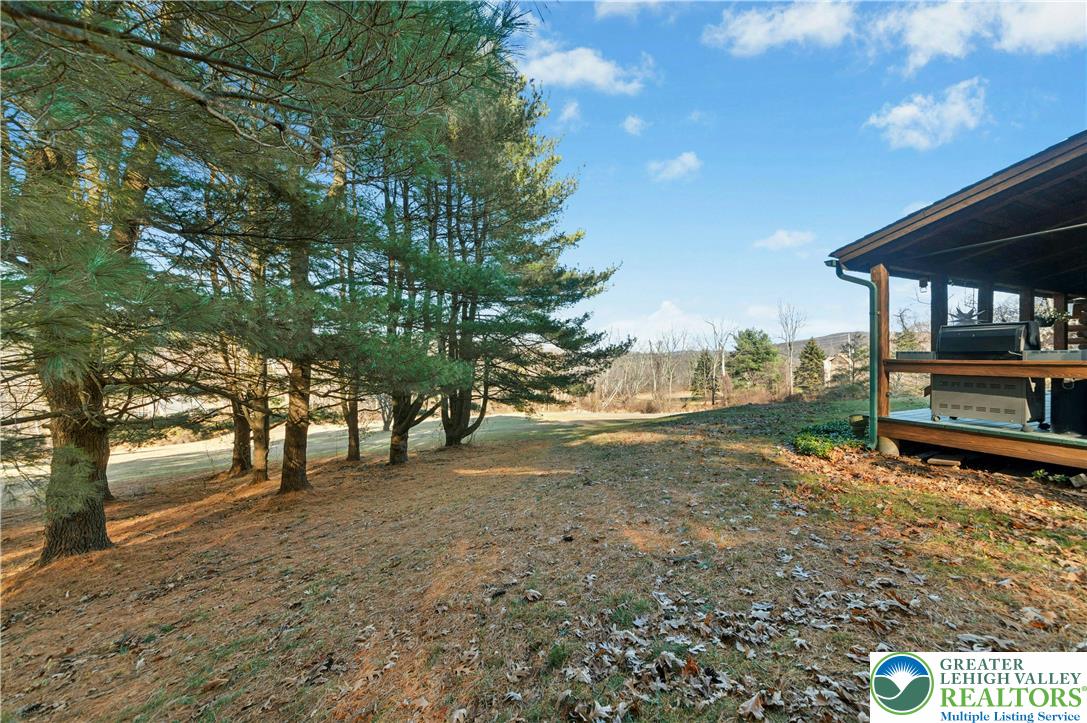 3980 Lehnenberg Road Riegelsville, PA 18077 - Photo 31 of 41 a view of a yard with a tree