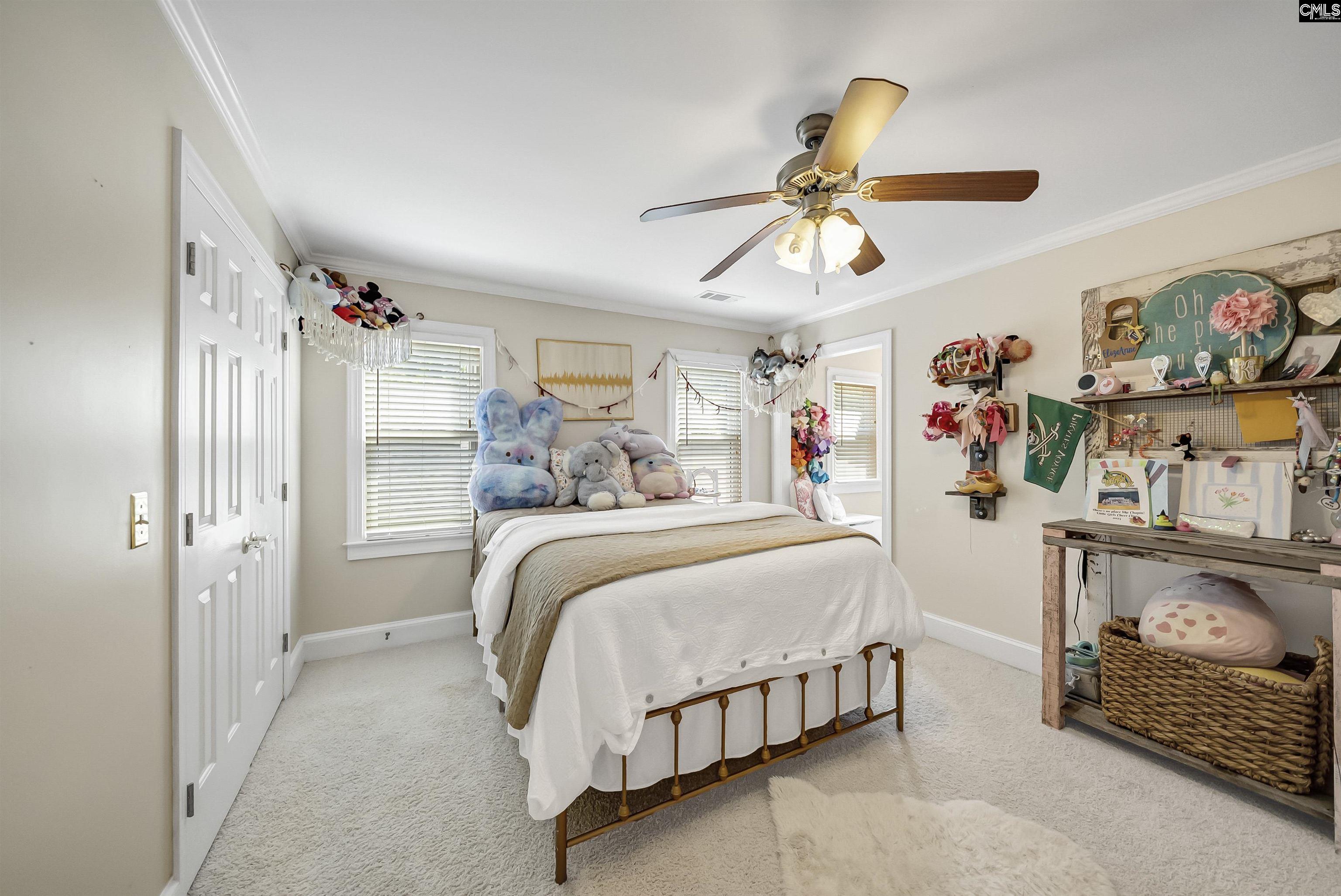 128 Stoney Point Lane Chapin, SC 29036 - Photo 43 of 79