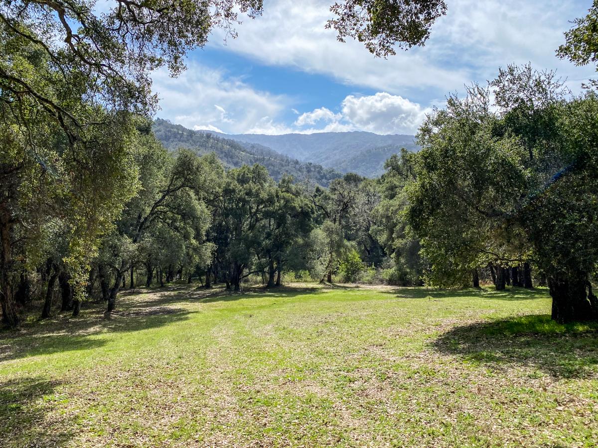 2 Arrowmaker Trace Carmel, CA 93923 - Photo 11 of 16 a view of swimming pool with a yard