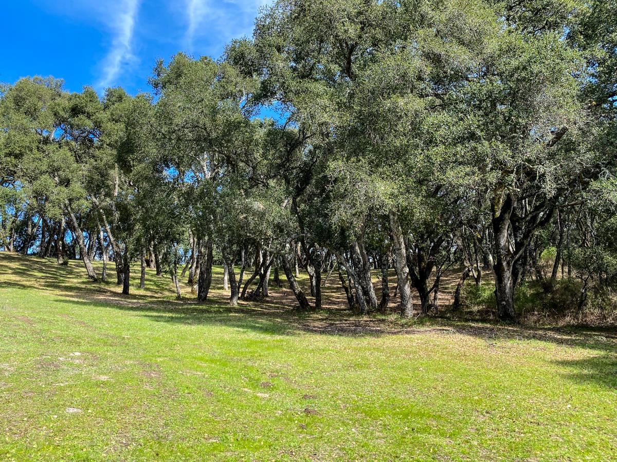 2 Arrowmaker Trace Carmel, CA 93923 - Photo 13 of 16 a view of swimming pool with outdoor seating and trees
