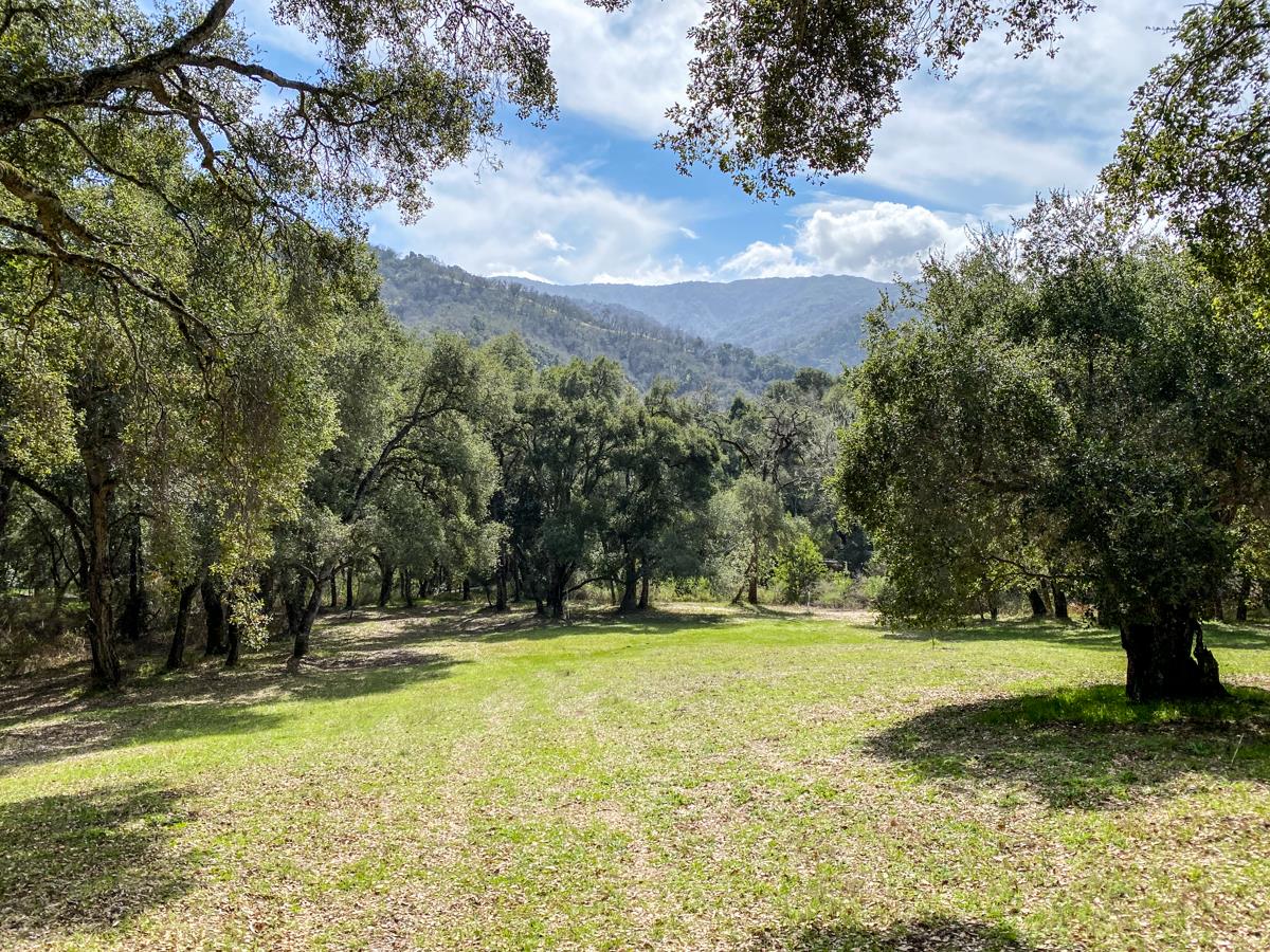 2 Arrowmaker Trace Carmel, CA 93923 - Photo 16 of 16 a view of swimming pool with a yard
