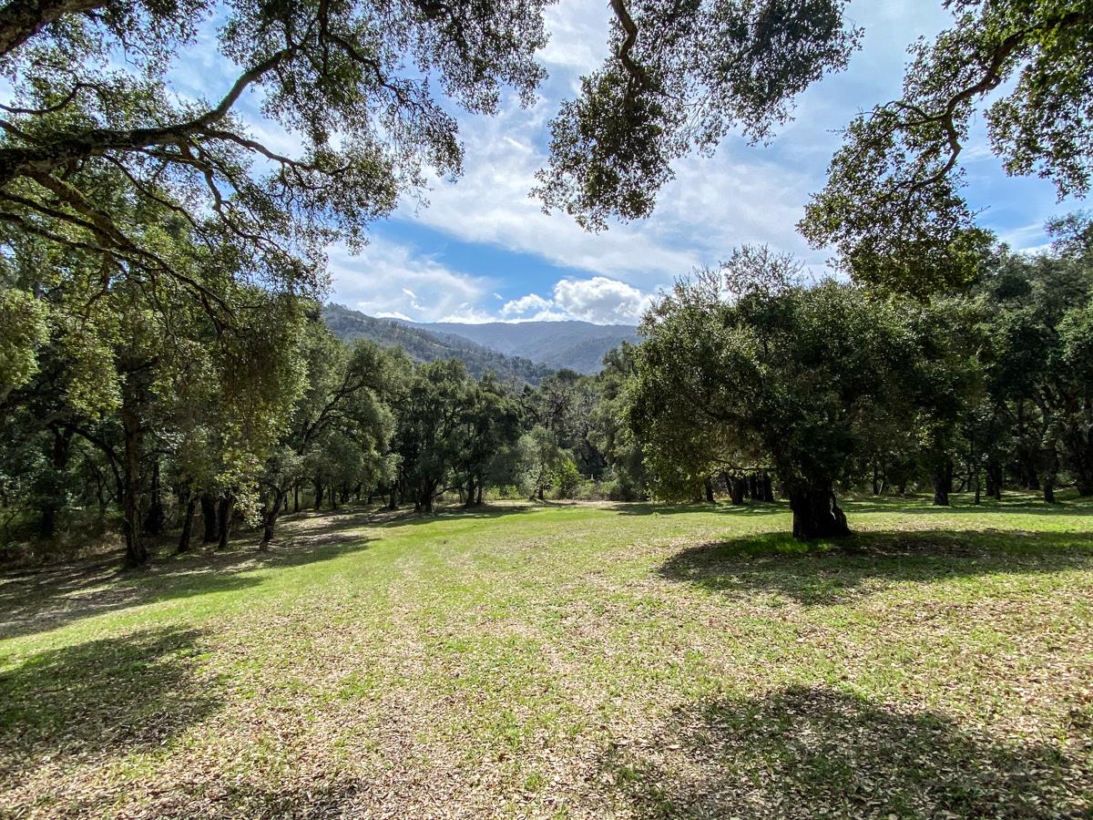 2 Arrowmaker Trace Carmel, CA 93923 - Photo 2 of 16 a view of swimming pool with a yard