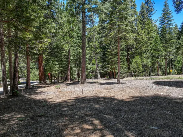a big yard with trees in front of it