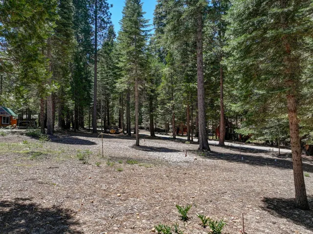 $59,000 | 3380 El Camino Boot Strap, Arnold, CA 95223