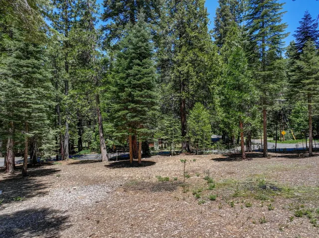 $59,000 | 3380 El Camino Boot Strap, Arnold, CA 95223