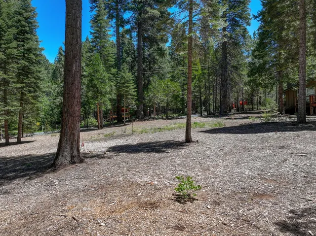 $59,000 | 3380 El Camino Boot Strap, Arnold, CA 95223