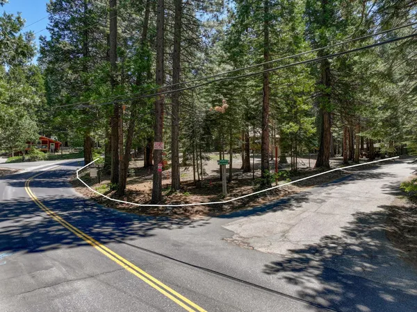 a view of a tree in the middle of a yard