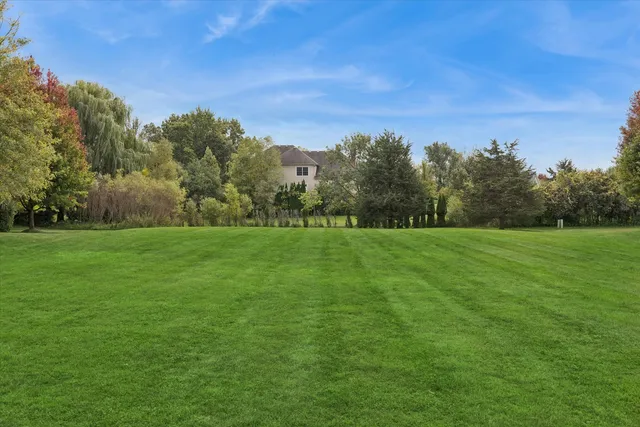 a yard with lots of green space