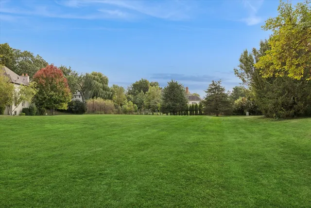 a view of a field of grass and trees