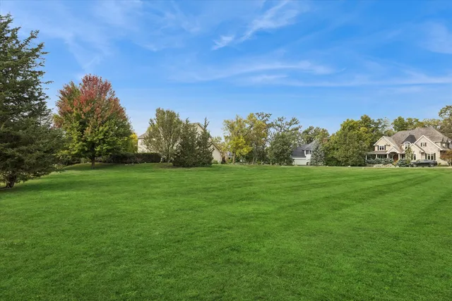 a view of a field of grass and trees