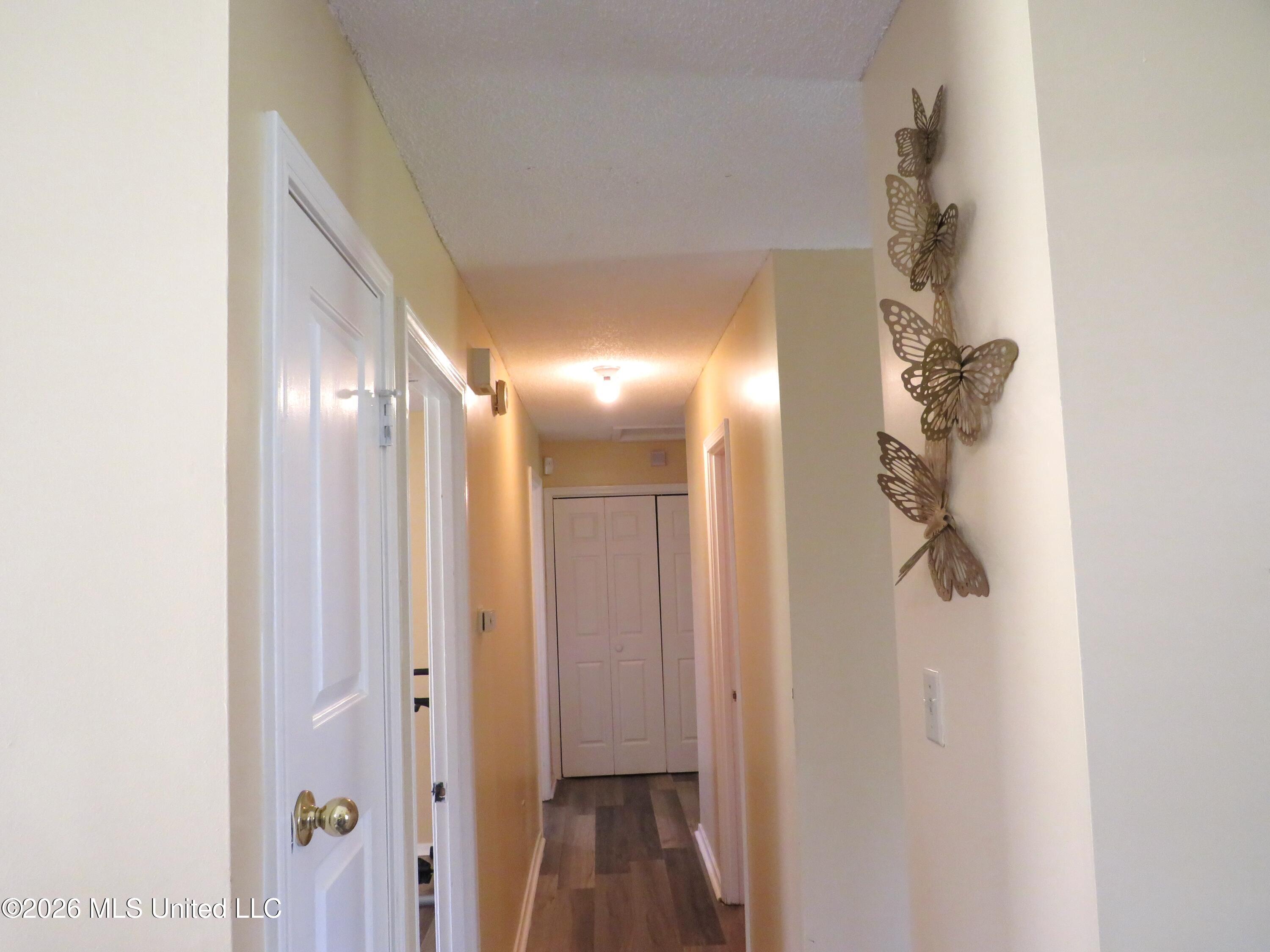 10372 Riggan Drive Olive Branch, MS 38654 - Photo 16 of 36 Hallway2, 6.29.2026