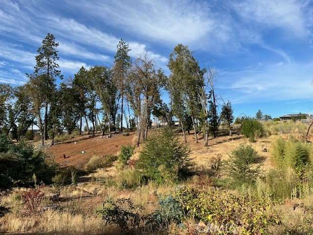 5709 Middle Libby Road Paradise, CA 95969 - Photo 4 of 8