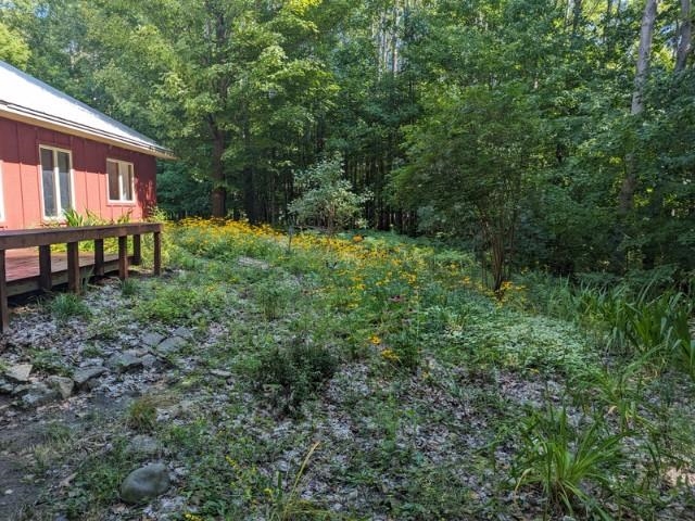 299 Adams Road Frankfort, MI 49635 - Photo 6 of 27