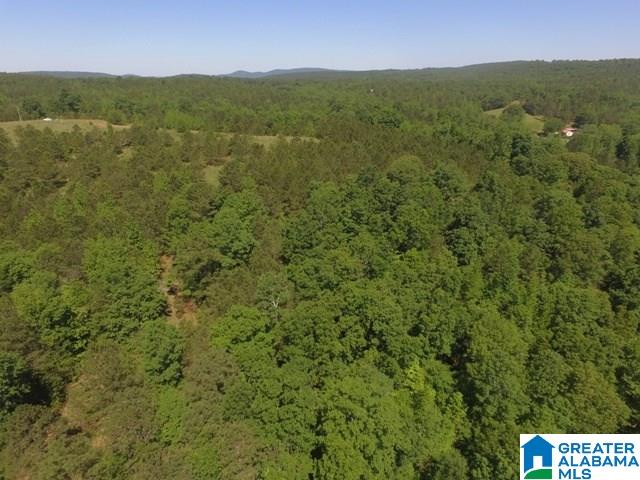 82-acres Creed Road, Unit 82 ACRES Lineville, AL 36266 - Photo 19 of 20