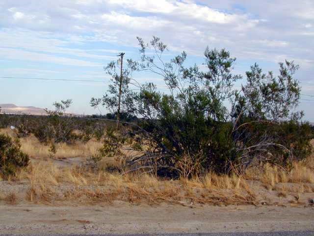 98 Frying Pan Road Borrego Springs, CA 92004 - Photo 1 of 1 Street Frontage