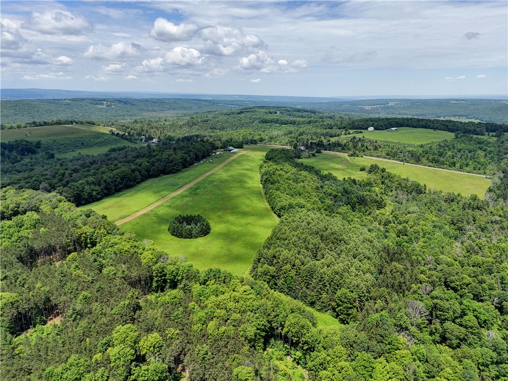 172 Hill Road Danby, NY 14883 - Photo 11 of 24