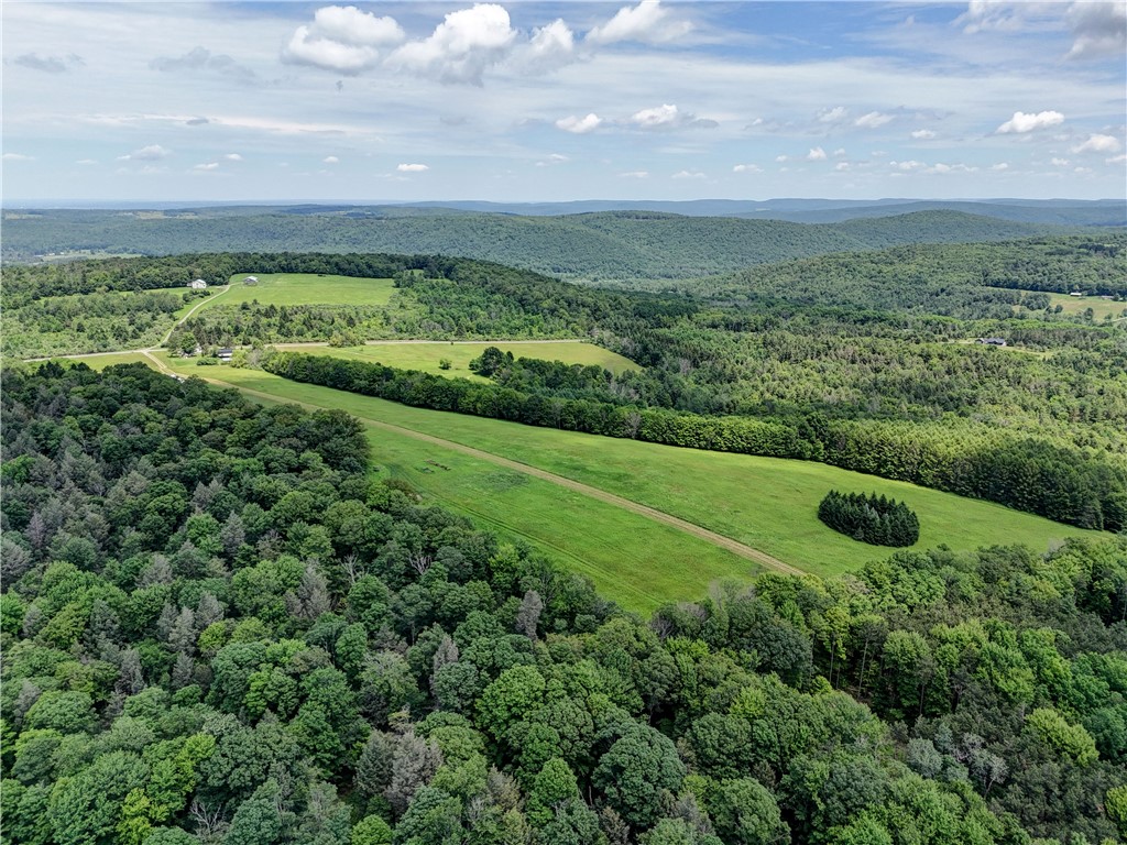 172 Hill Road Danby, NY 14883 - Photo 14 of 24