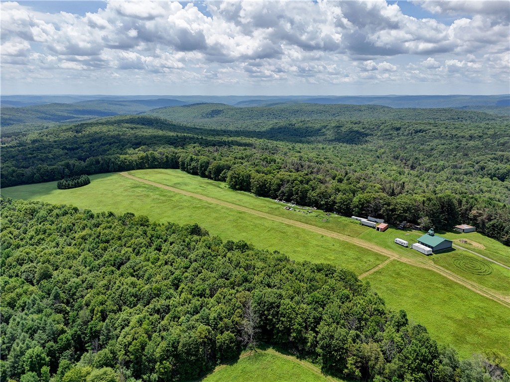 172 Hill Road Danby, NY 14883 - Photo 15 of 24