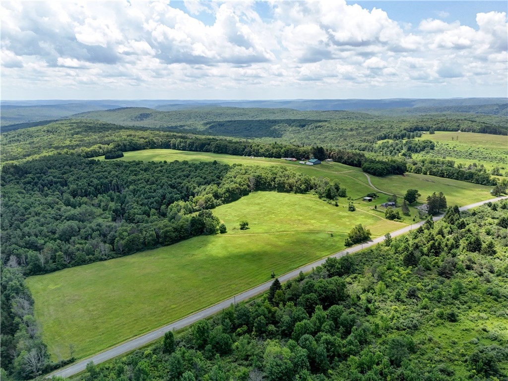 172 Hill Road Danby, NY 14883 - Photo 16 of 24