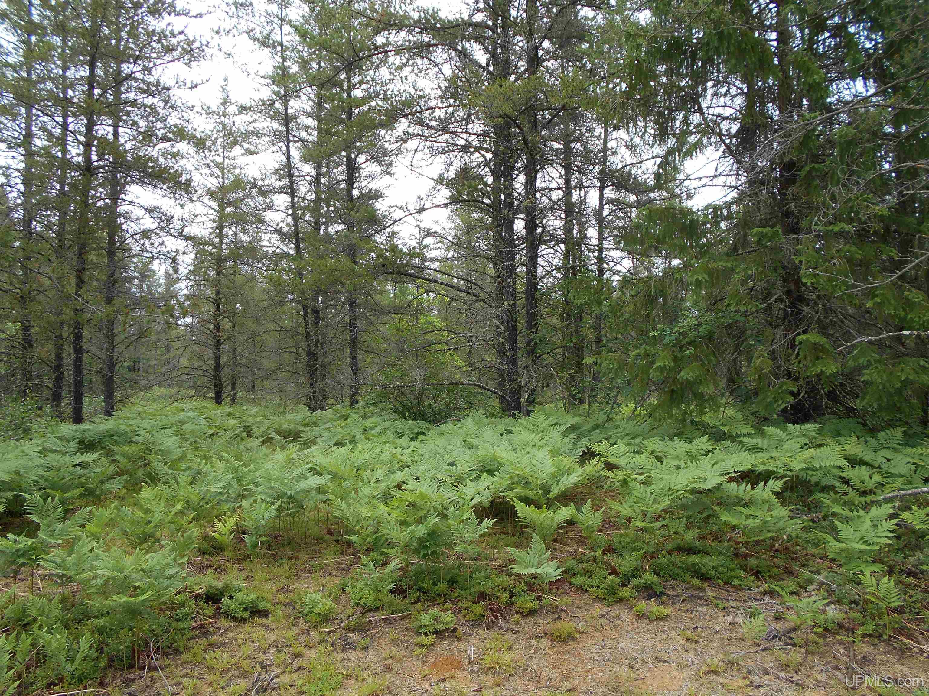 2245 West Co Road Seney, MI 49883 - Photo 2 of 22