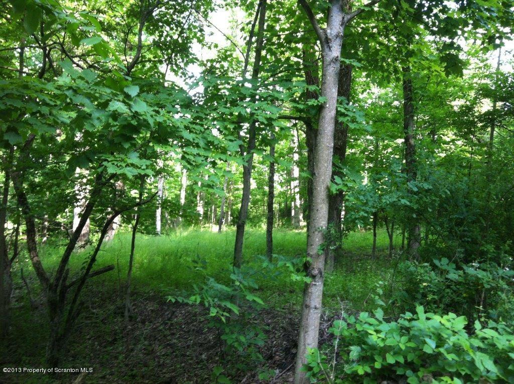 0 Burns Road Waymart, PA 18472 - Photo 3 of 8 woods