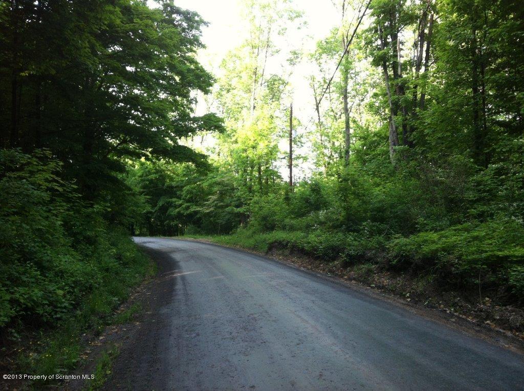 0 Burns Road Waymart, PA 18472 - Photo 4 of 8 Street view