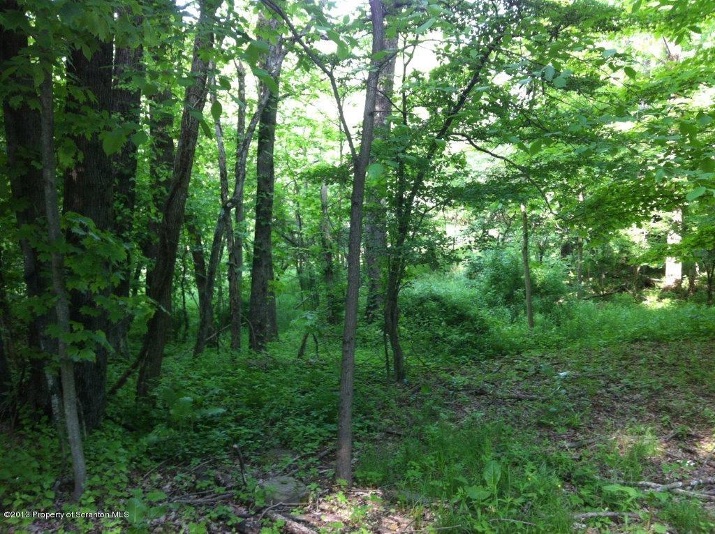 0 Burns Road Waymart, PA 18472 - Photo 5 of 8 Building lot