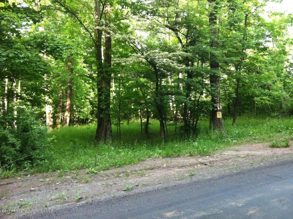 0 Burns Road Waymart, PA 18472 - Photo 6 of 8 Road frontage