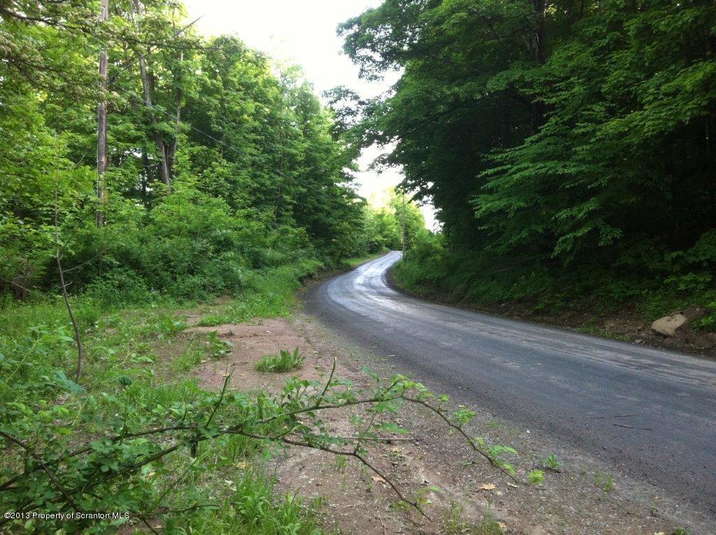 0 Burns Road Waymart, PA 18472 - Photo 8 of 8 Road