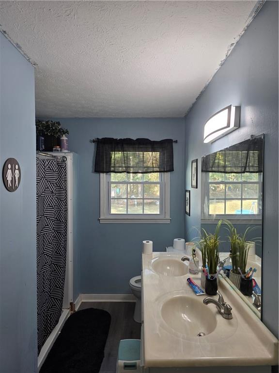 176 Runyon Loop Cedartown, GA 30125 - Photo 12 of 20 a bathroom with a sink toilet and next to a window