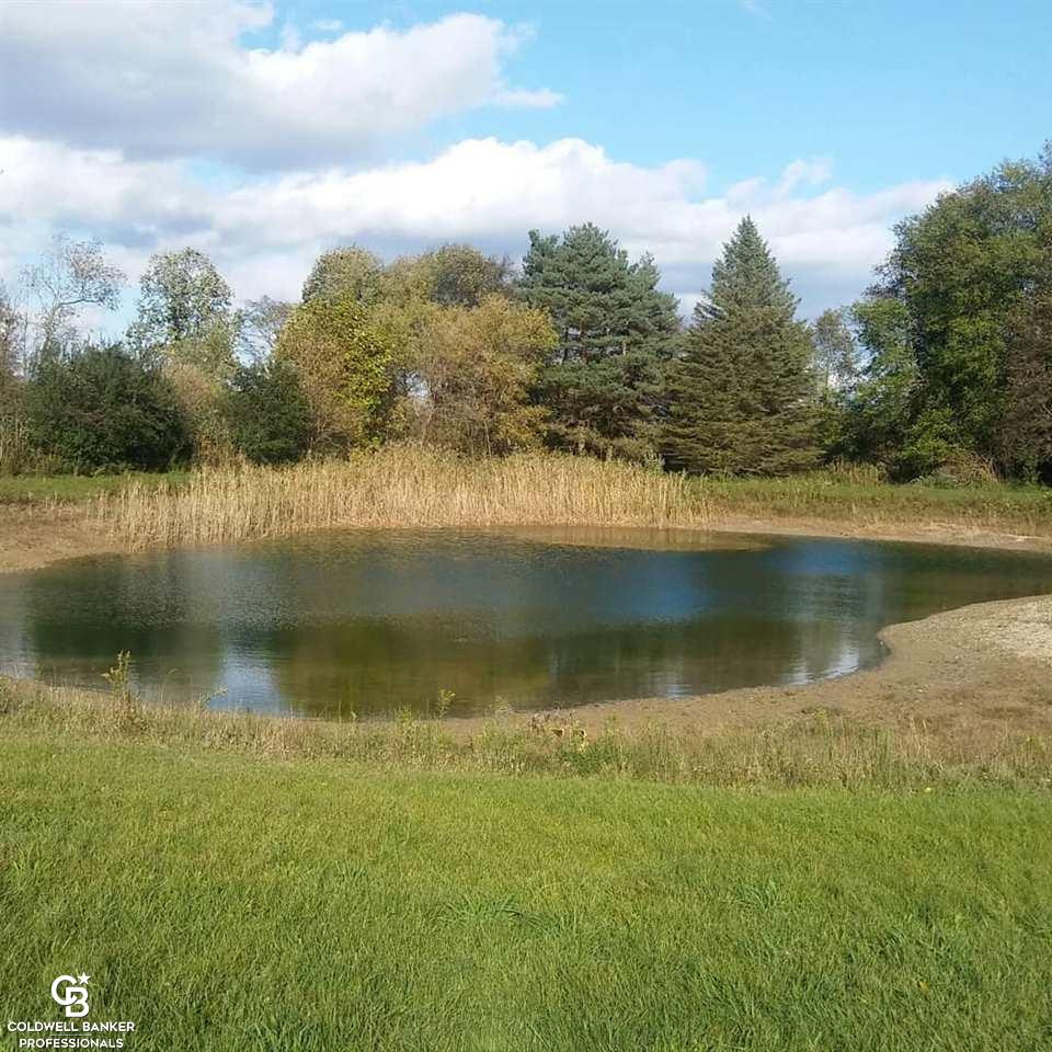 8655 Cork Road Yale, MI 48097 - Photo 47 of 50 Gallery Image 47
