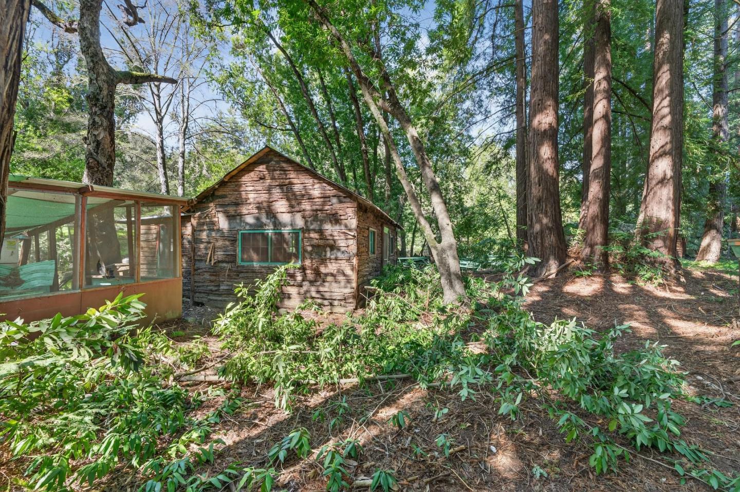 3215 Woodside Road Woodside, CA 94062 - Photo 11 of 24 a view of a garden with an trees