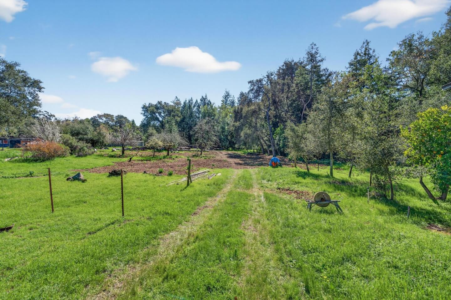 3215 Woodside Road Woodside, CA 94062 - Photo 14 of 24 a view of yard with green space