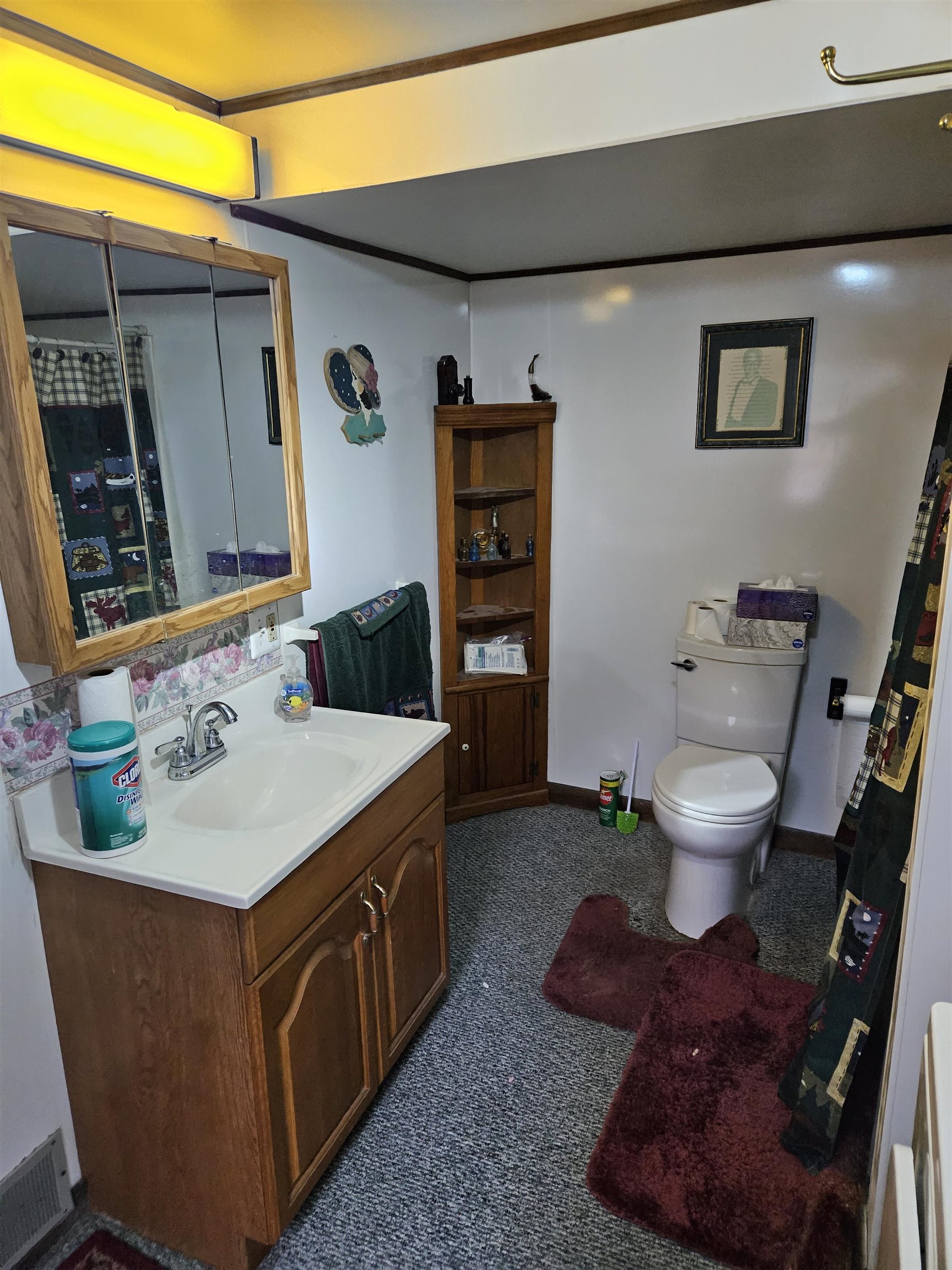 1372 Wild Ammonoosuc Road Bath, NH 03740 - Photo 4 of 16