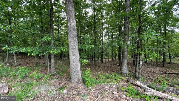 $49,900 | Lots 47-48-49 Lots 47-48-49 Bristol Court, Slanesville, WV 25444