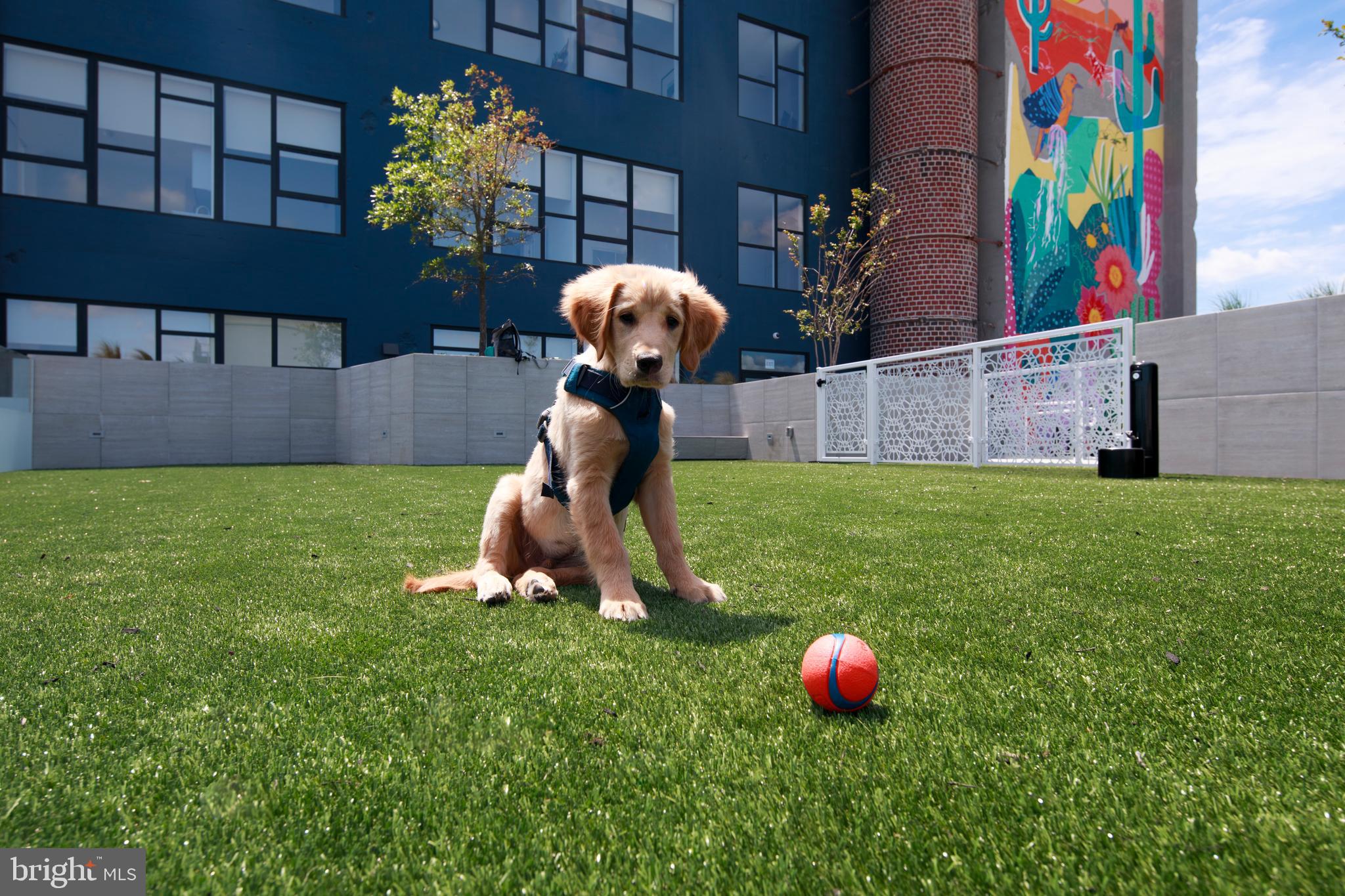 815-17 Poplar Street, Unit R Philadelphia, PA 19123 - Photo 6 of 15