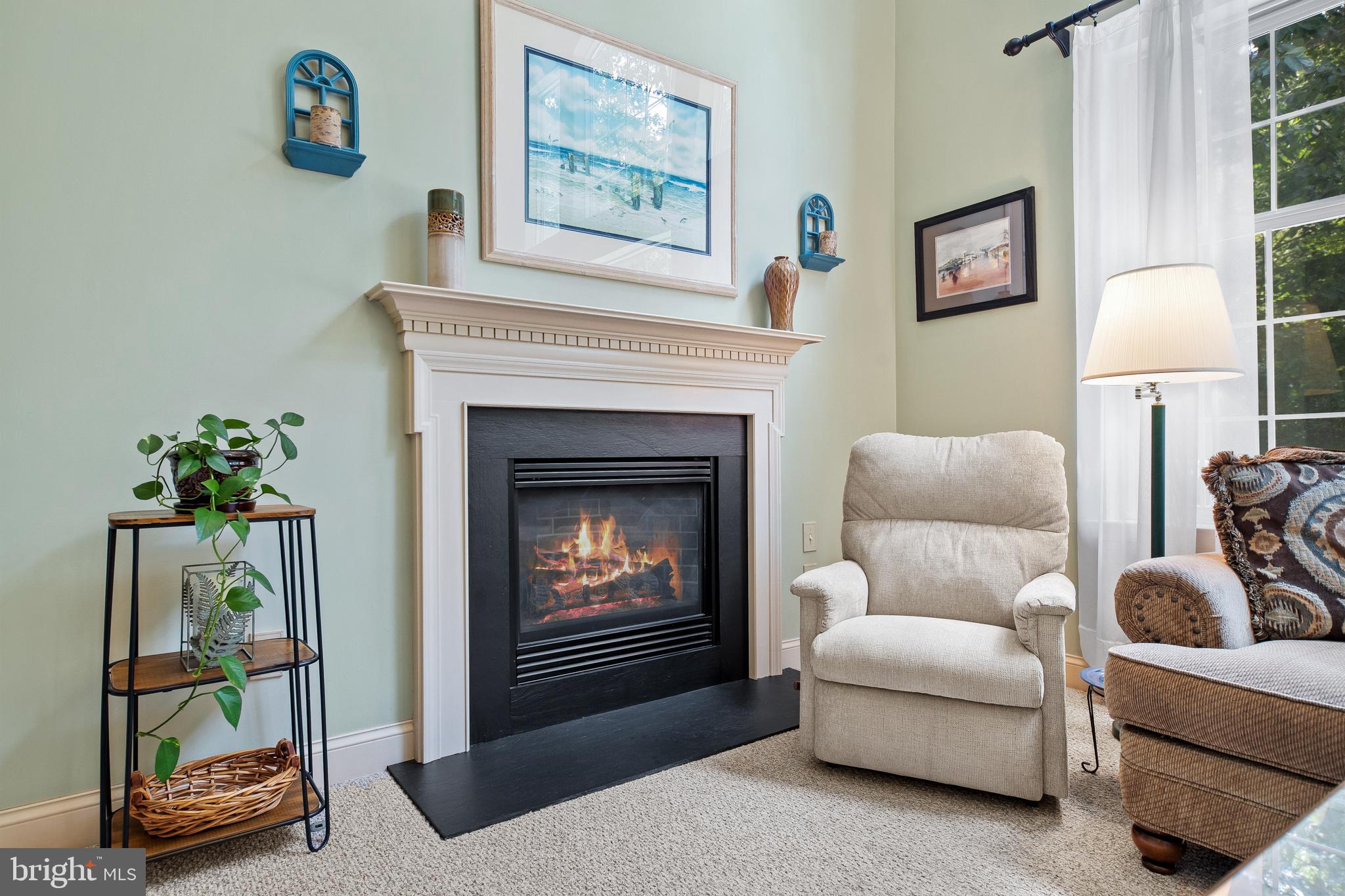 10 Shadybrook Road Mullica Hill, NJ 08062 - Photo 12 of 80 Gallery Image 12