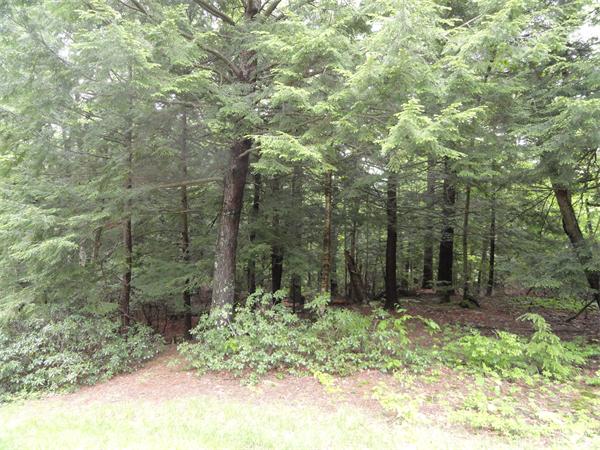 Lot 5 Glenwood Road Rutland, MA 01543 - Photo 1 of 3