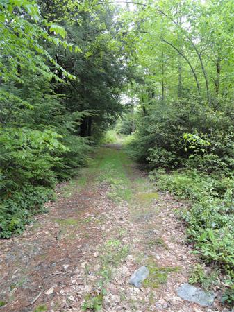 Lot 5 Glenwood Road Rutland, MA 01543 - Photo 2 of 3