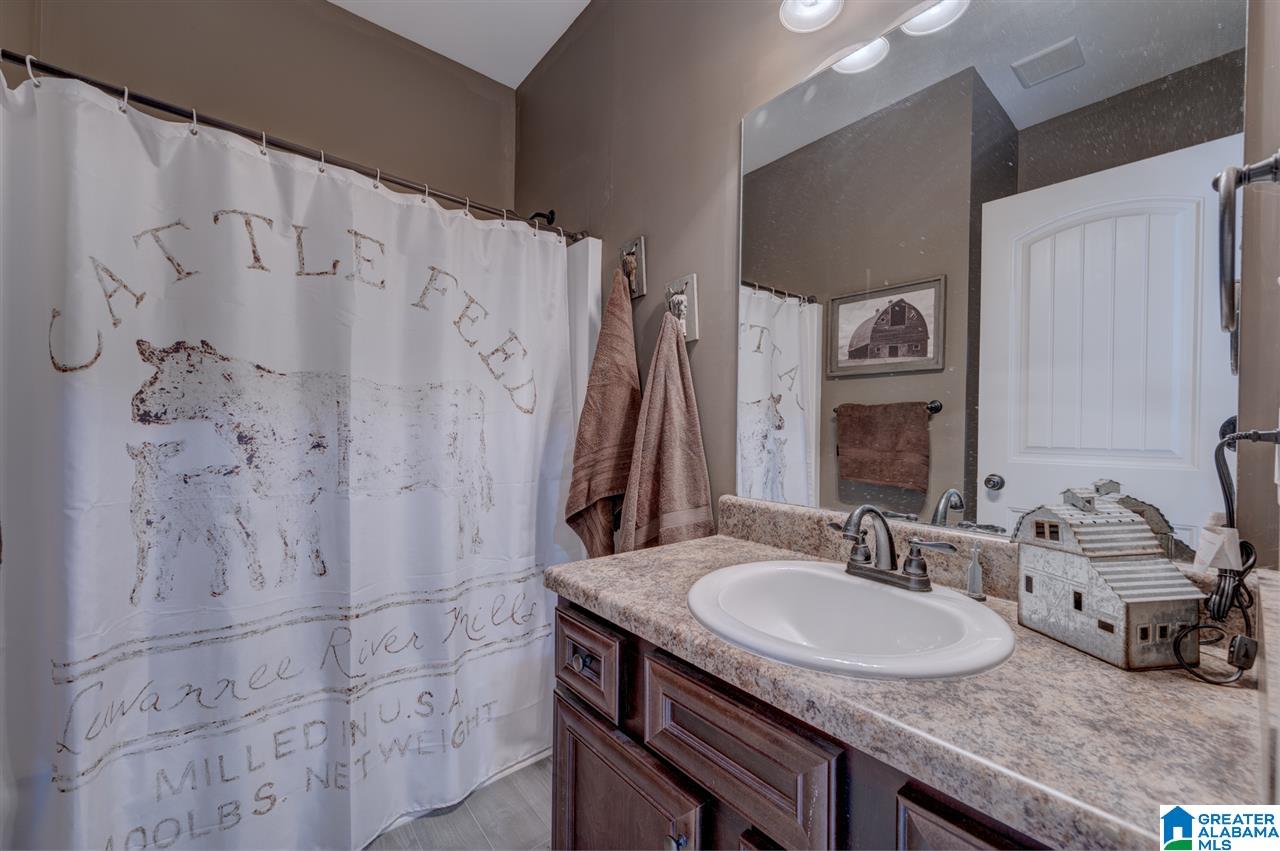 2277 Mt View Road Hayden, AL 35079 - Photo 22 of 46