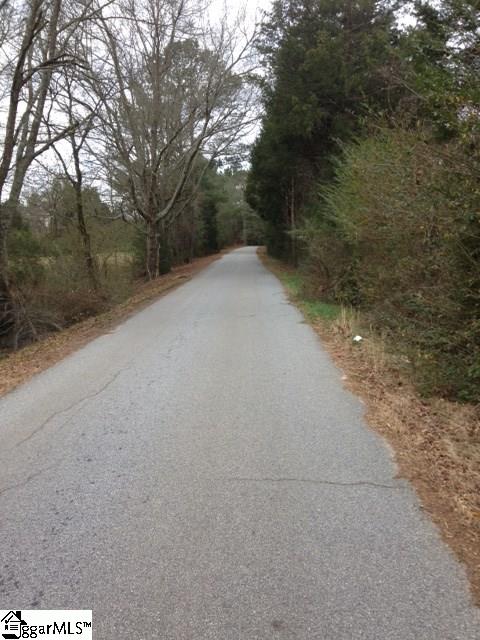 0 Darby Circle Road Gray Court, SC 29645 - Photo 3 of 4