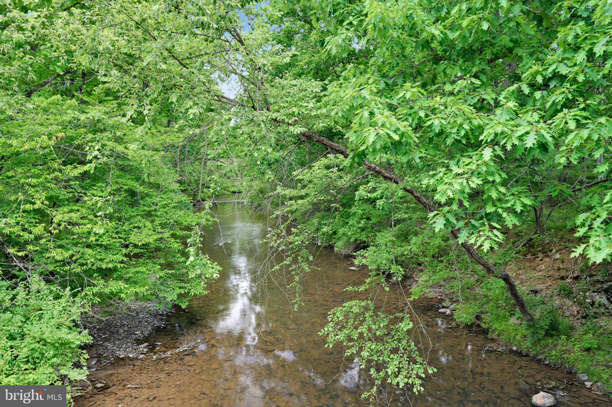0 Fredericks Grove Road Lehighton, PA 18235 - Photo 4 of 14 Tranquil stream embraced by lush greens.
