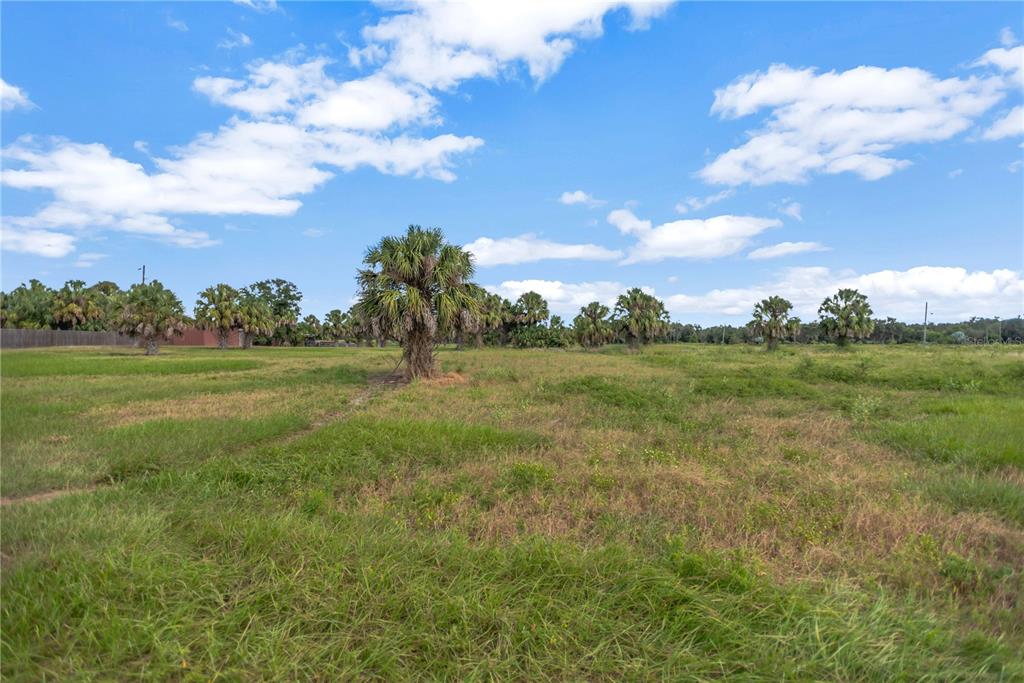 Bunker Hil Road, Unit PARCEL E Parrish, FL 34219 - Photo 9 of 12 a view of a grassy field with trees