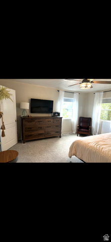 1324 West Raintree Drive, Unit 44 Price, UT 84501 - Photo 18 of 25 Carpeted room featuring a ceiling fan with integrated lighting, multiple windows with white window treatments, and a white interior door