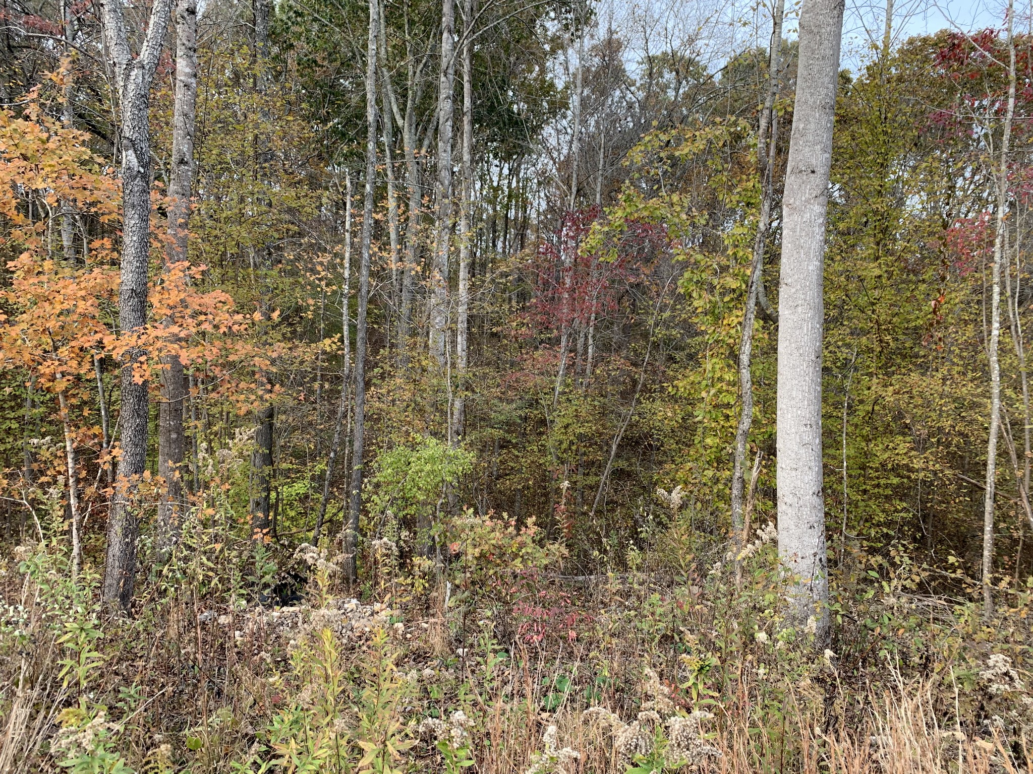 0 Danley Road Iron City, TN 38463 - Photo 26 of 27 Gallery Image 26