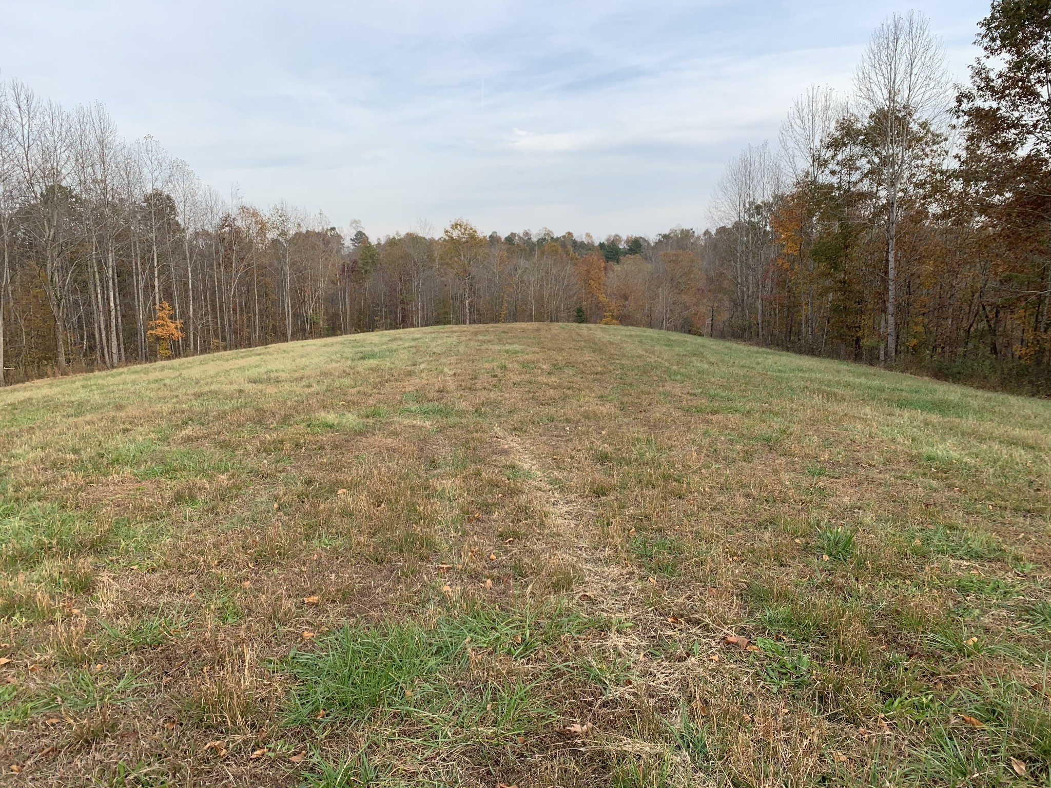 0 Danley Road Iron City, TN 38463 - Photo 6 of 27 Gallery Image 6