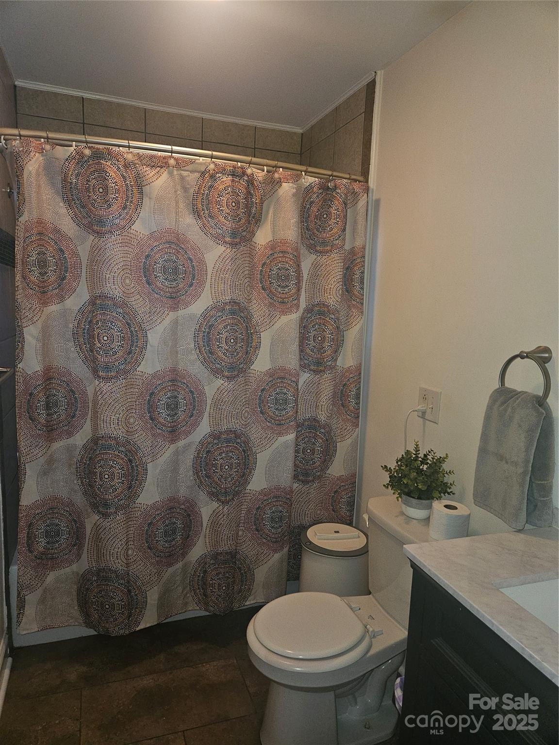 313 Mountain Creek Road Albemarle, NC 28001 - Photo 21 of 25 a bathroom with a sink and toilet