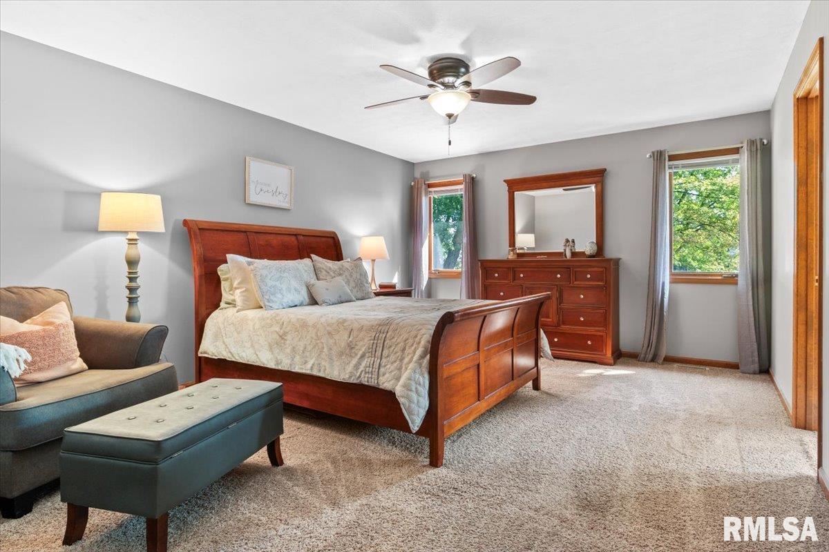 14 Spring Street Riverton, IL 62561 - Photo 14 of 36 Gallery Image 14
