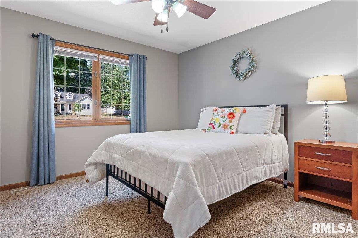 14 Spring Street Riverton, IL 62561 - Photo 23 of 36 Gallery Image 23